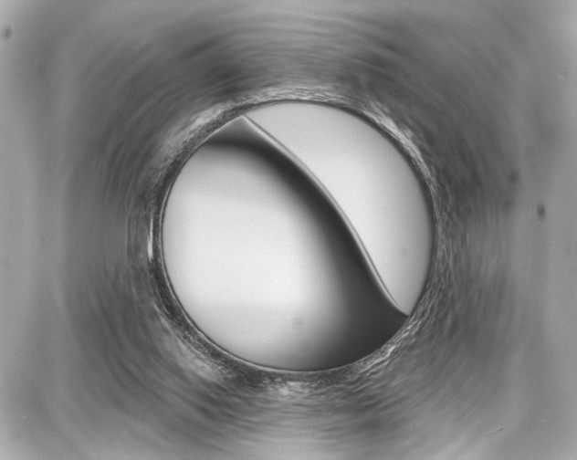 X0000087740062200705070937