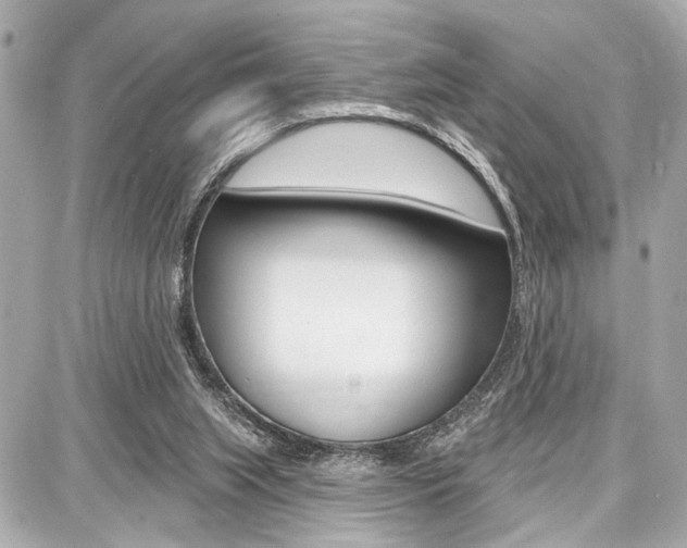 X0000087740063200705070937