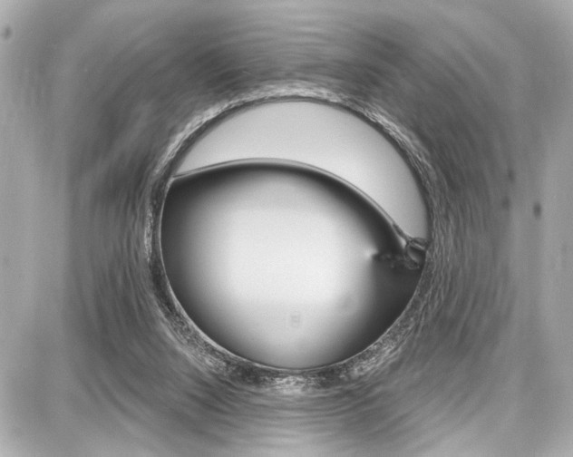 X0000087740064200705070937