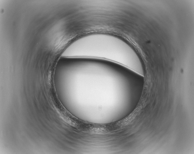 X0000087740066200705070937