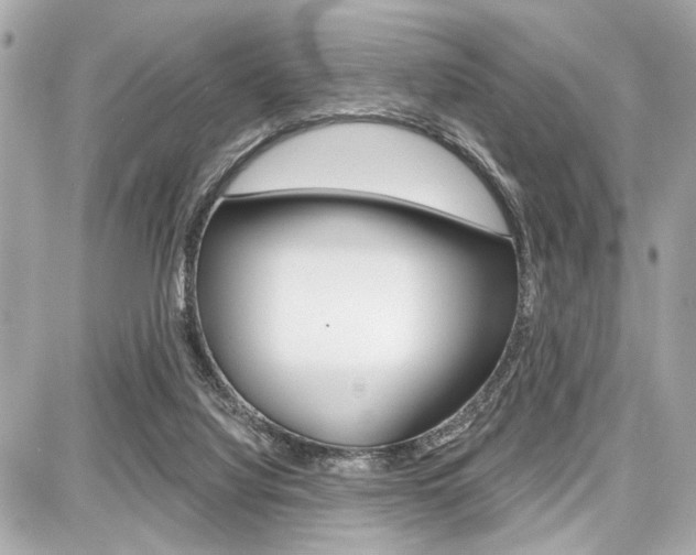 X0000087740068200705070937