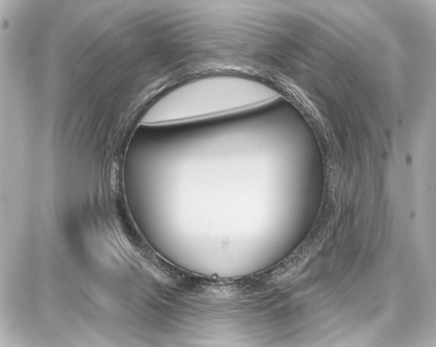 X0000087740071200705070937