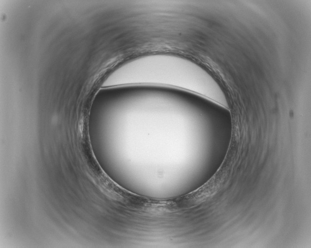 X0000087740072200705070937