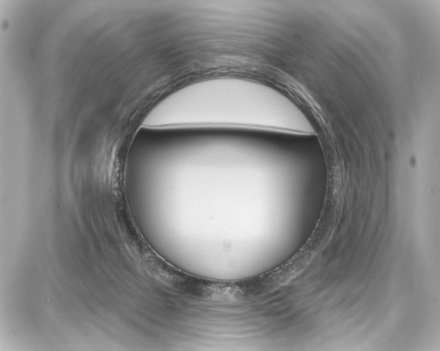 X0000087740073200705070937