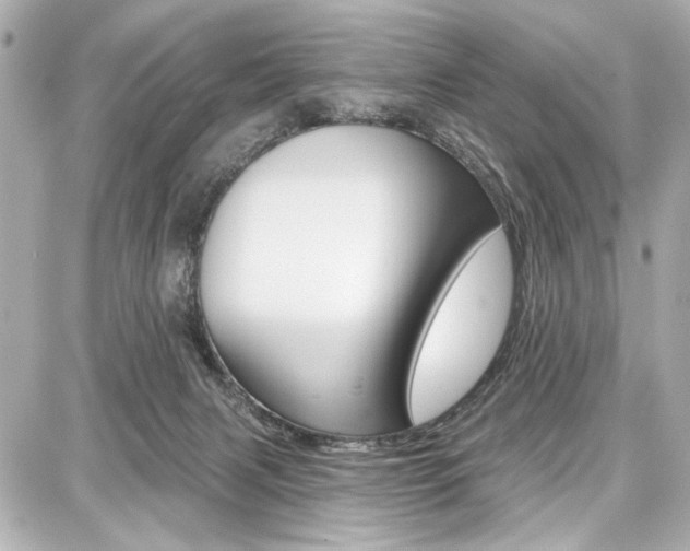 X0000087740079200705070937