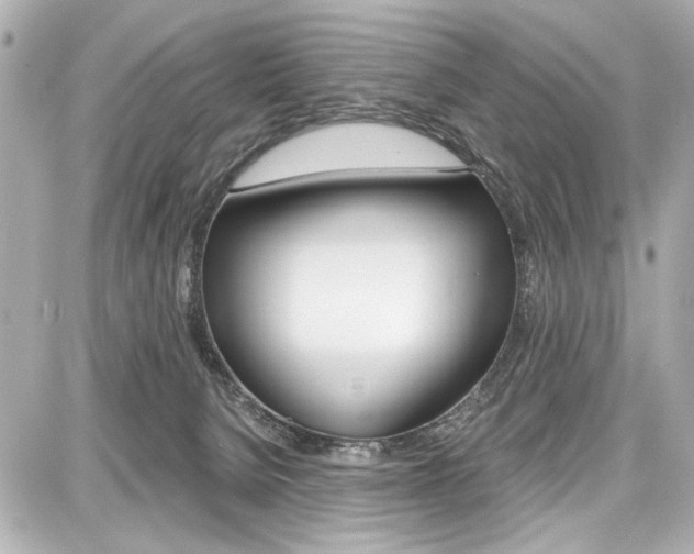 X0000087740080200705070937