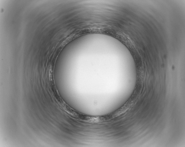 X0000087740083200705070937