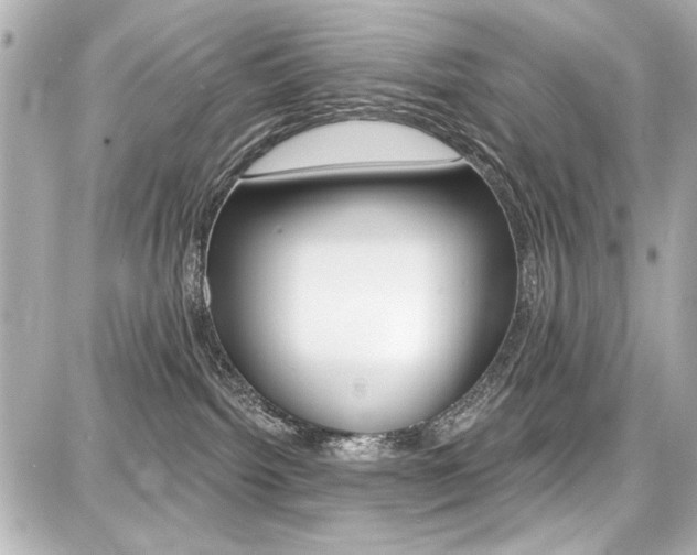 X0000087740092200705070937
