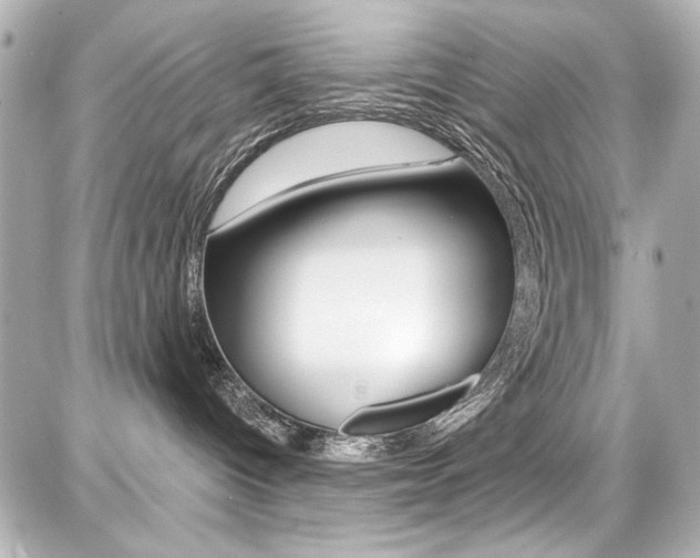 X0000087740096200705070937