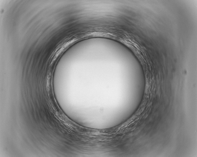 X0000087740098200705070936