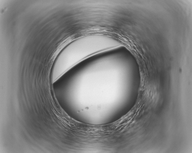 X0000087740099200705070936