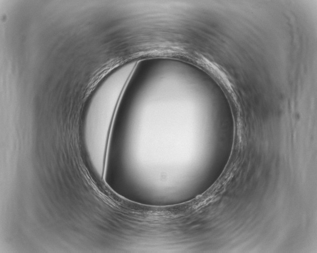 X0000087740105200705070936