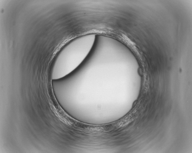 X0000087740106200705070936
