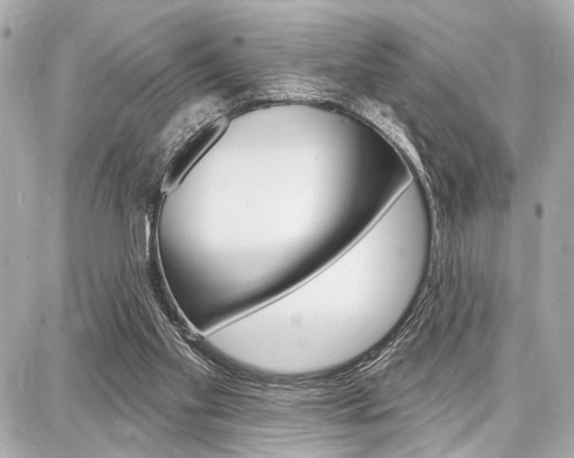 X0000087740109200705070936