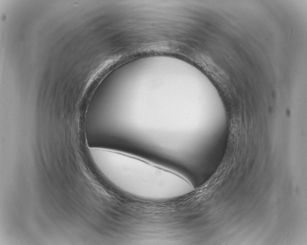 X0000087740112200705070936