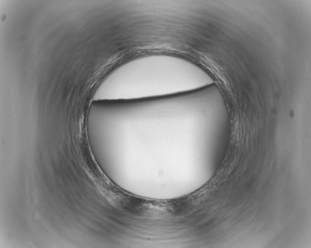X0000087740118200705070936