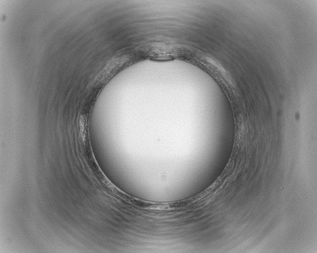 X0000087740121200705070936