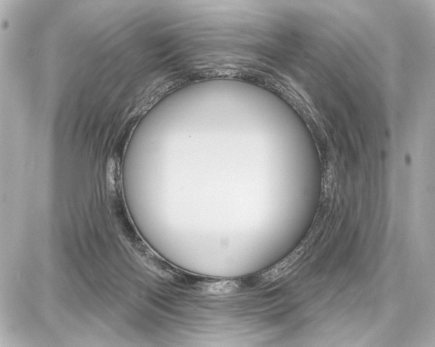 X0000087740122200705070936