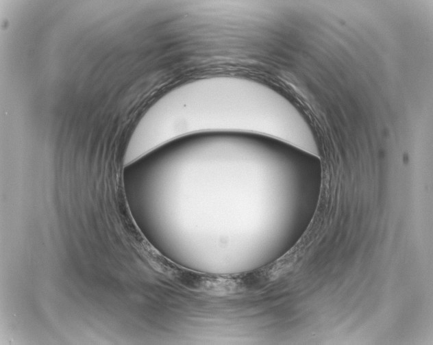 X0000087740125200705070936