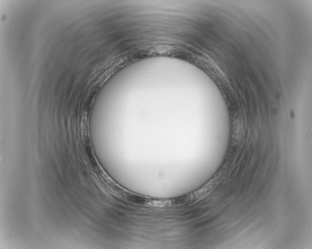 X0000087740126200705070936