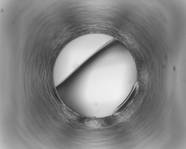 X0000087740129200705070936