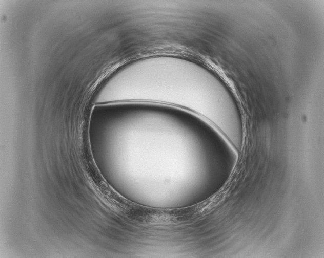 X0000087740154200705070935