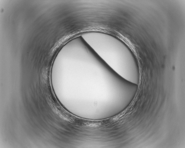 X0000087740155200705070935