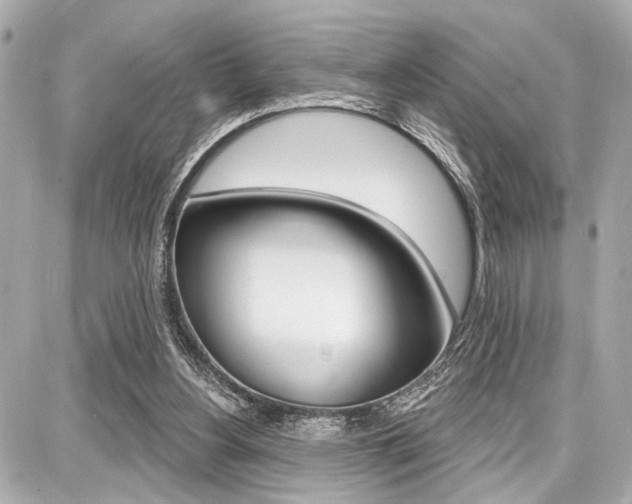 X0000087740156200705070935