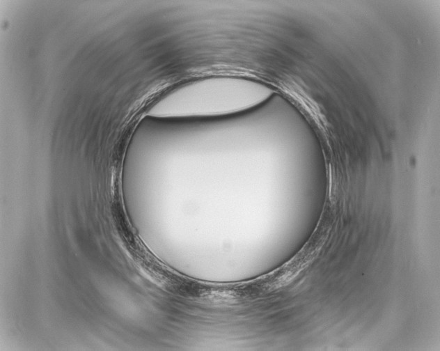 X0000087740157200705070935