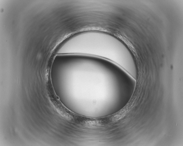 X0000087740160200705070935