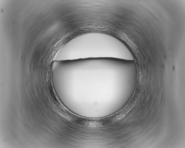 X0000087740165200705070935