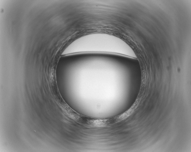 X0000087740184200705070935