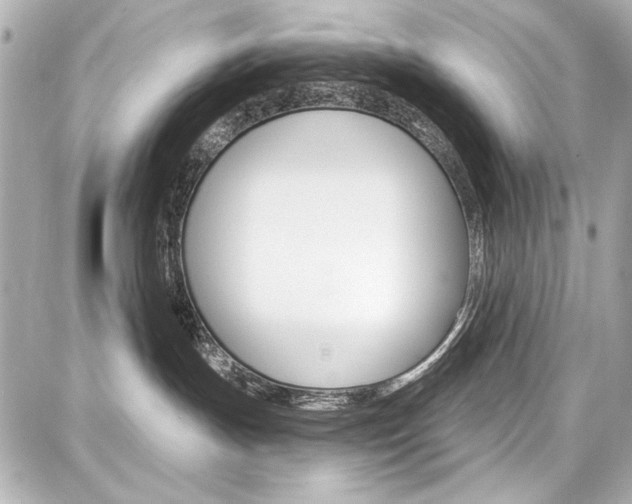 X0000087740191200705070936