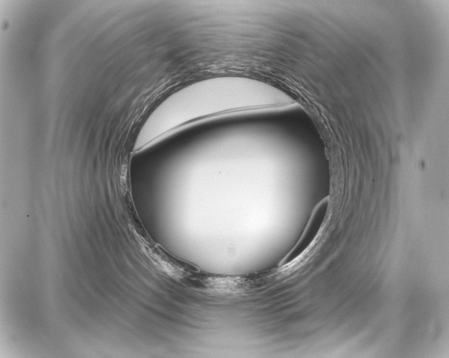 X0000087740192200705070936