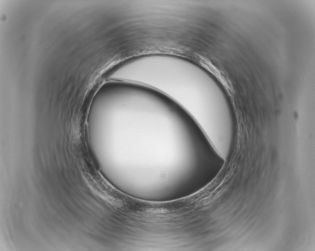 X0000087740203200705070935