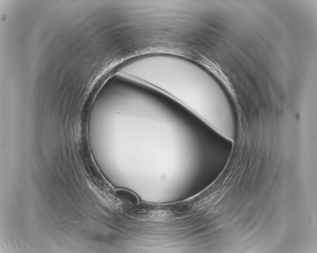 X0000087740204200705070935