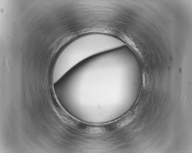 X0000087740205200705070935