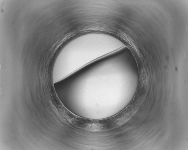 X0000087740212200705070934