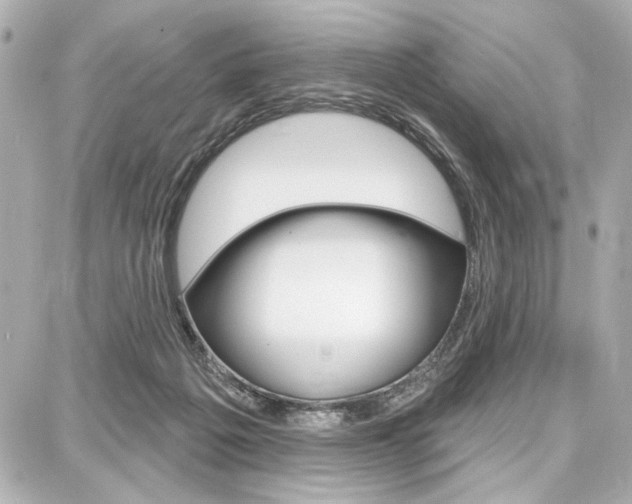 X0000087740217200705070934