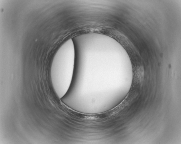 X0000087740218200705070934