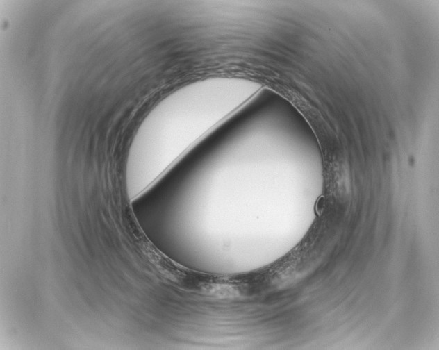 X0000087740224200705070934