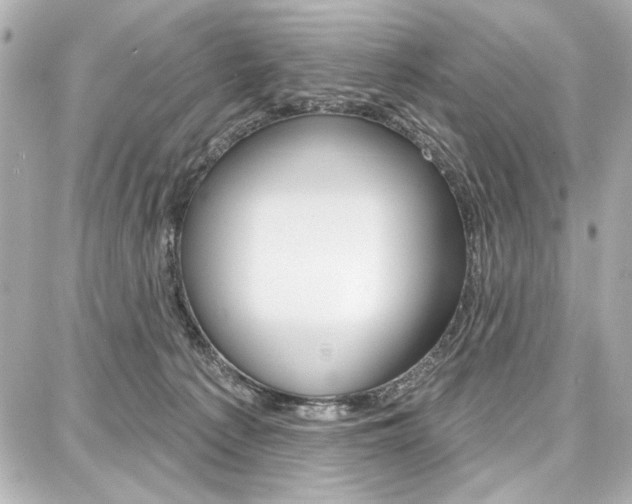 X0000087740225200705070934