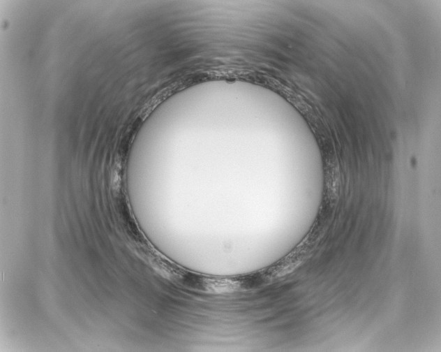 X0000087740226200705070934