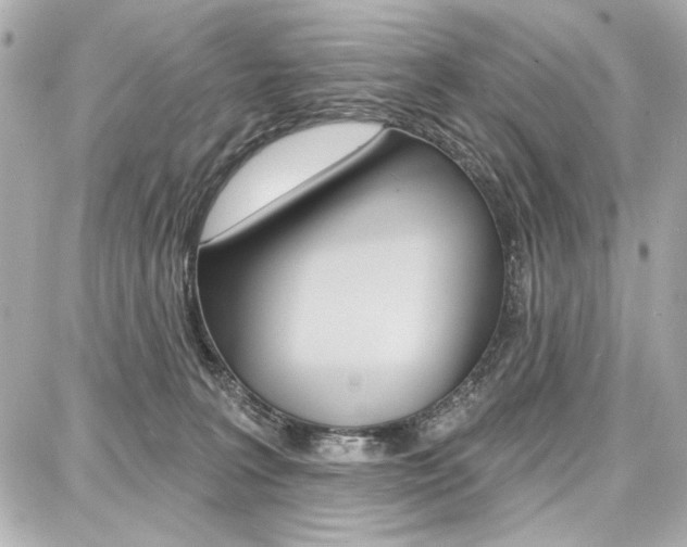X0000087740227200705070934