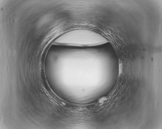 X0000087740243200705070933