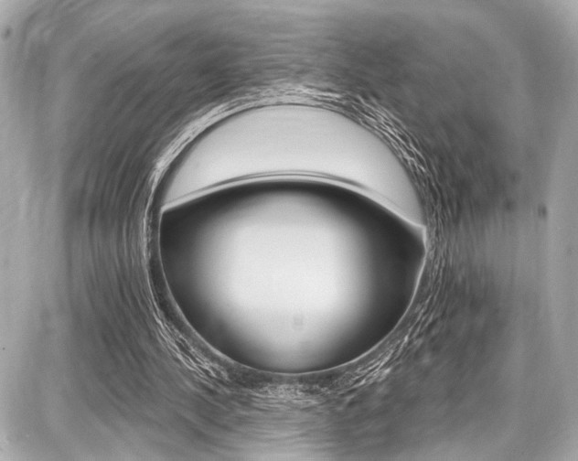 X0000087740244200705070933
