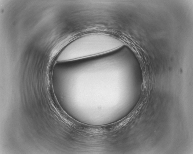 X0000087740245200705070933
