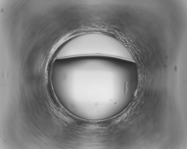 X0000087740246200705070933