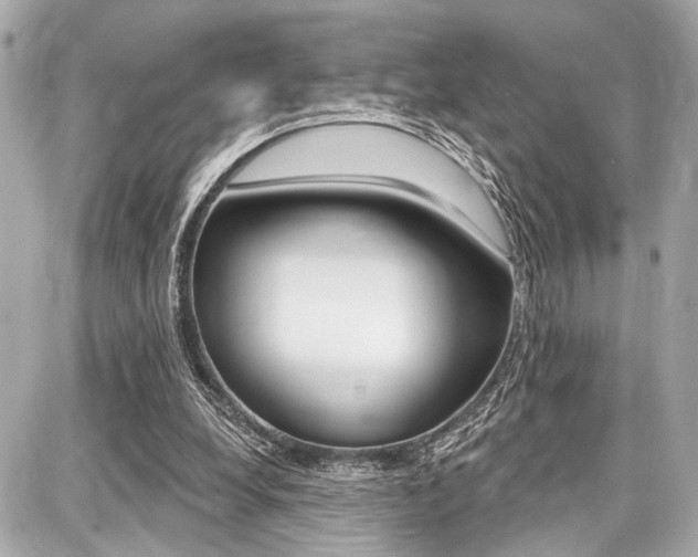 X0000087740248200705070933