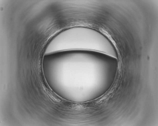 X0000087740249200705070933